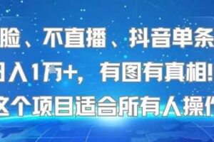 不露脸、不直播、抖音单条视频日入1W+，有图有真相！这个项目适合所有人操作