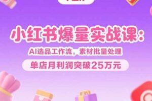 (15462期)小红书爆量实战课:AI选品工作流,素材批量处理,单店月利润突破25万元