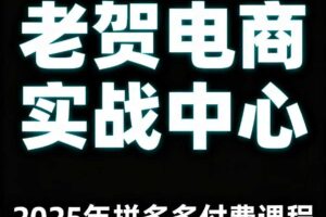 老贺电商2025年拼多多付费课程，用通俗易懂的方法告诉你多多怎么玩