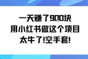 一天挣了9张用小红书做这个项目太牛了，空手套