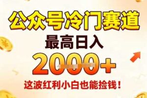 公众号冷门赛道,最高日入1k+,这波红利小白也能捡钱!