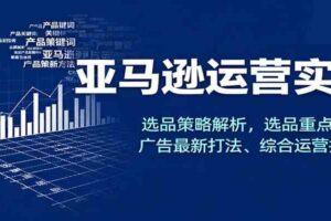 亚马逊运营实操,选品策略解析,选品重点方法、广告最新打法、综合运营技巧等