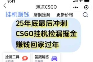 12月年底抓紧最后一个月，用CSGO游戏挂G捡漏掘金賺钱掘金，一部手机轻松日入5张+【揭秘】
