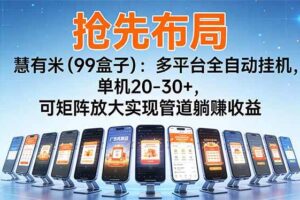 （16757期）【抢先布局】慧有米（99盒子）：多平台全自动挂机，单机20-30+，可矩阵放大实现管道躺赚收益
