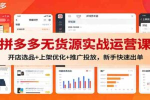 拼多多无货源实战运营课:开店选品+上架优化+推广投放,新手快速出单