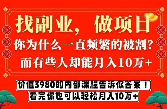 价值3980的网创内部课程，告诉你互联网创业月入10个W的秘密【揭秘】