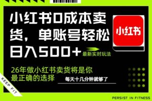 （17462期）小红书0成本AI卖货，单账号轻松日入500+，完全托管AI，可矩阵放大