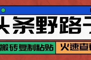 头条单账号日收益300+野路子玩法赛道，无脑搬砖复制粘贴，保姆级教程